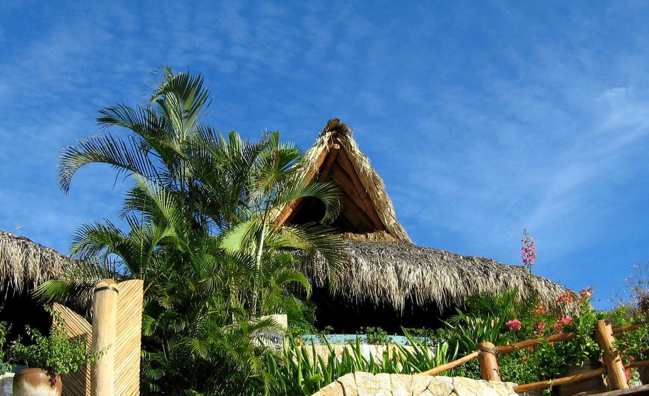 Hotel Amuleto Ixtapa  Exterior foto